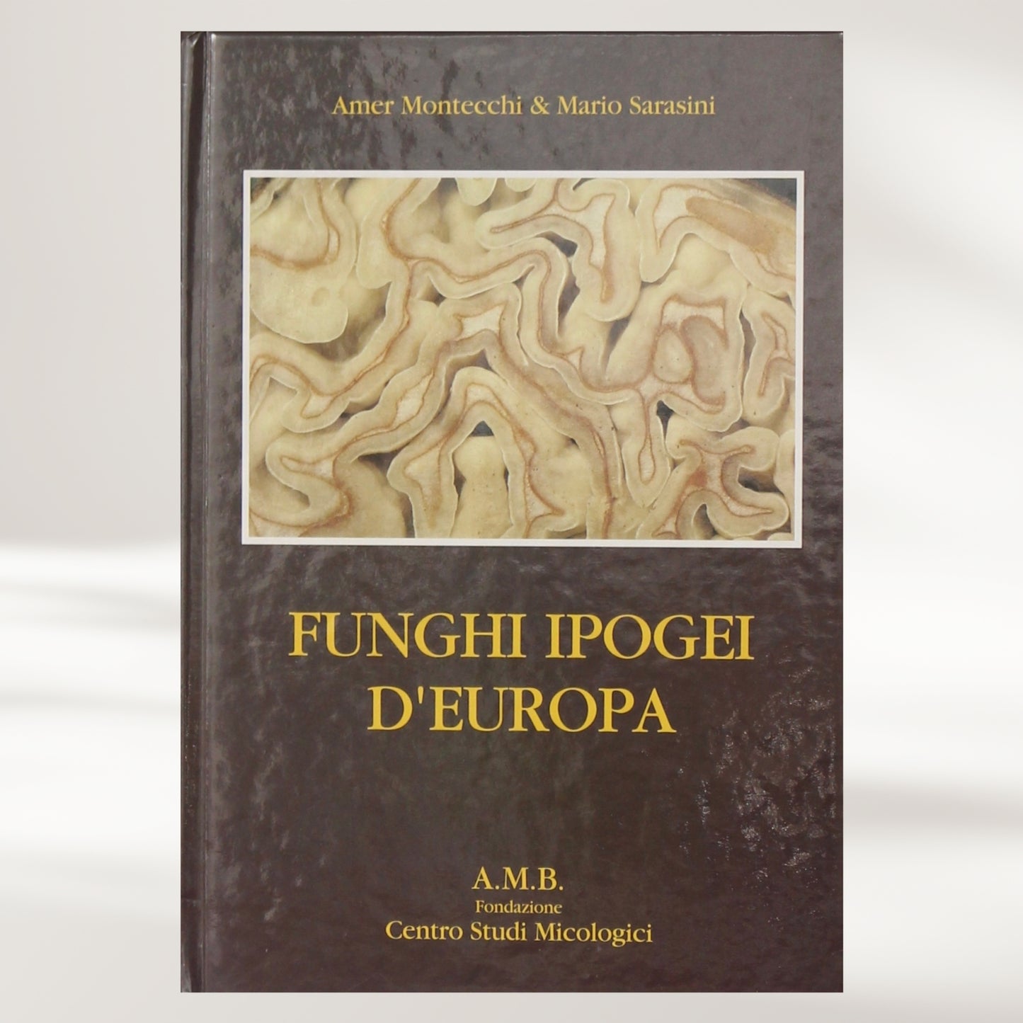 Funghi ipogei d'Europa