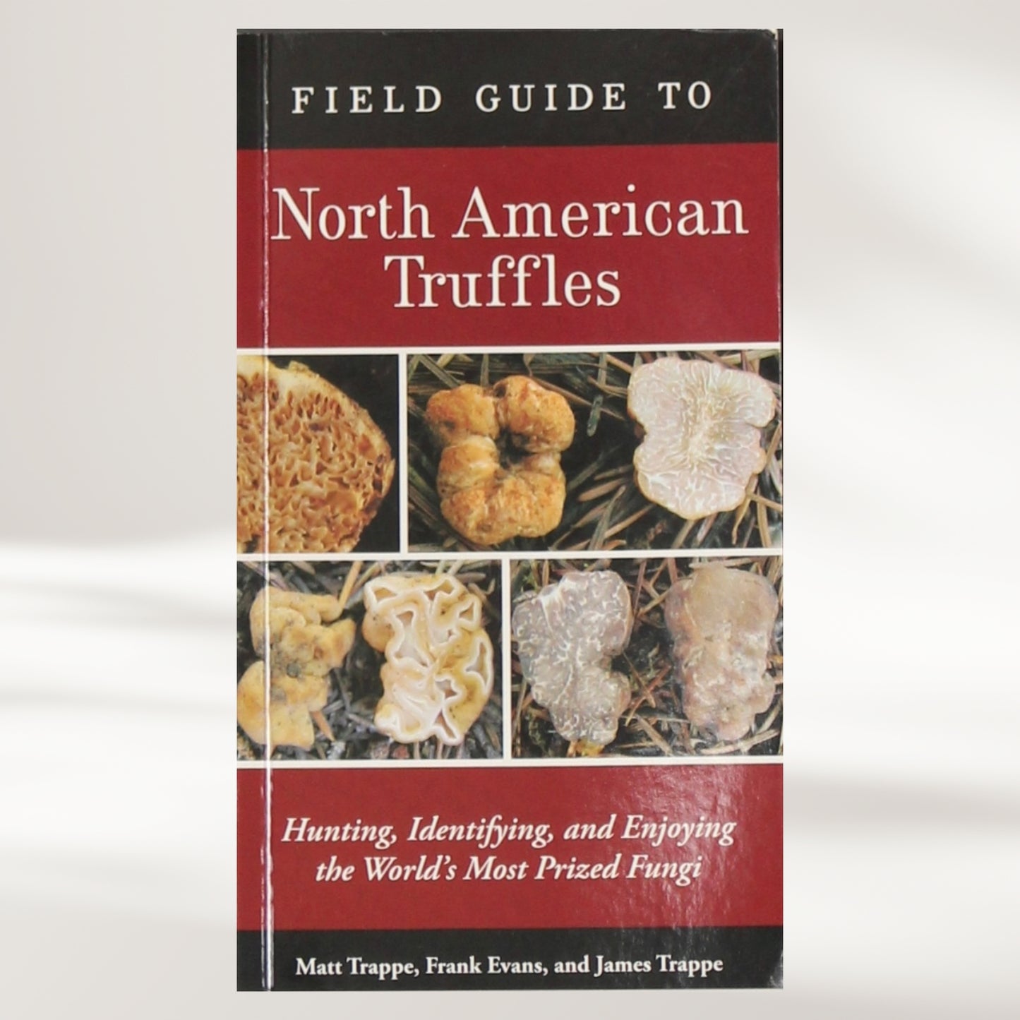Field Guide to North American Truffles