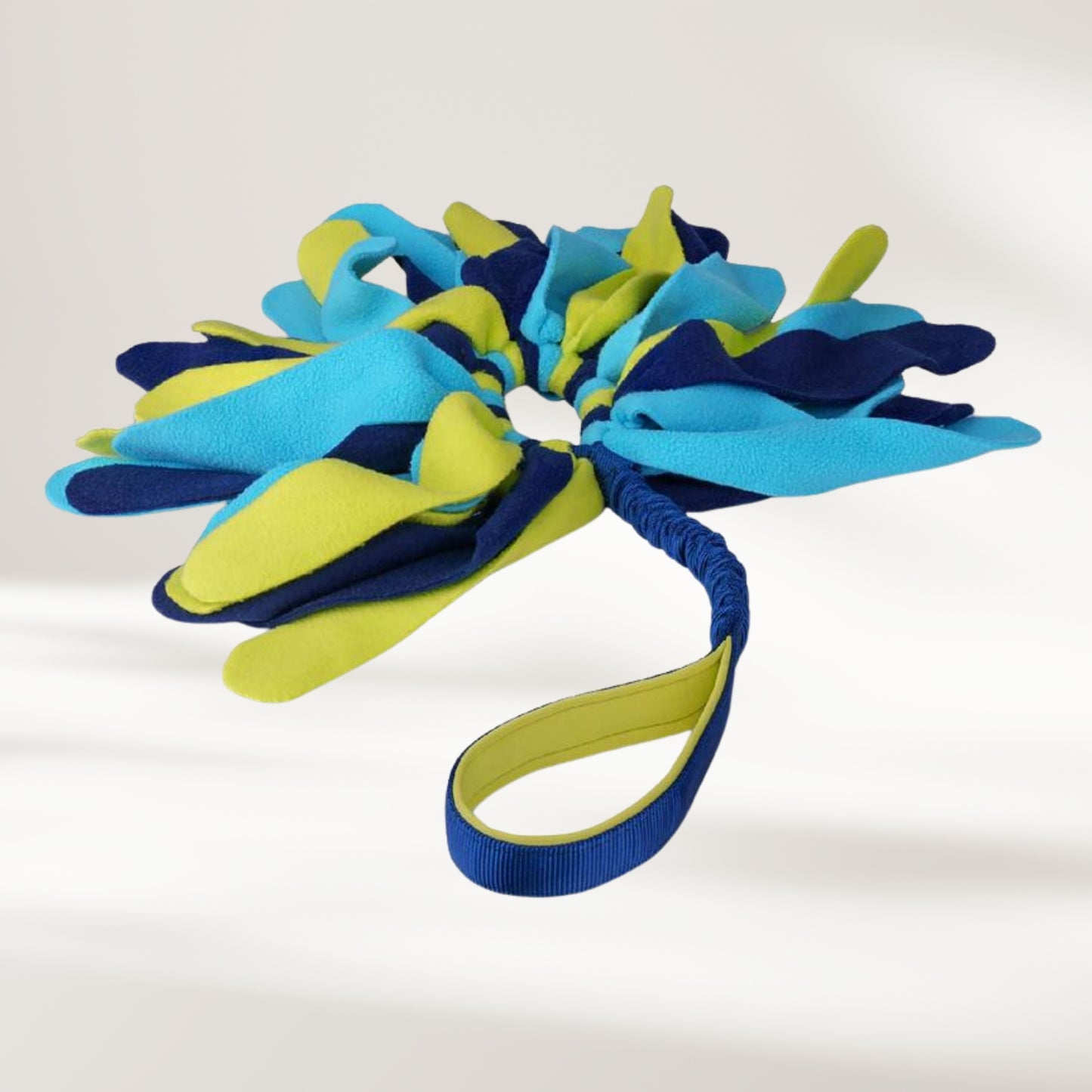 Coachi Tuggi Spider