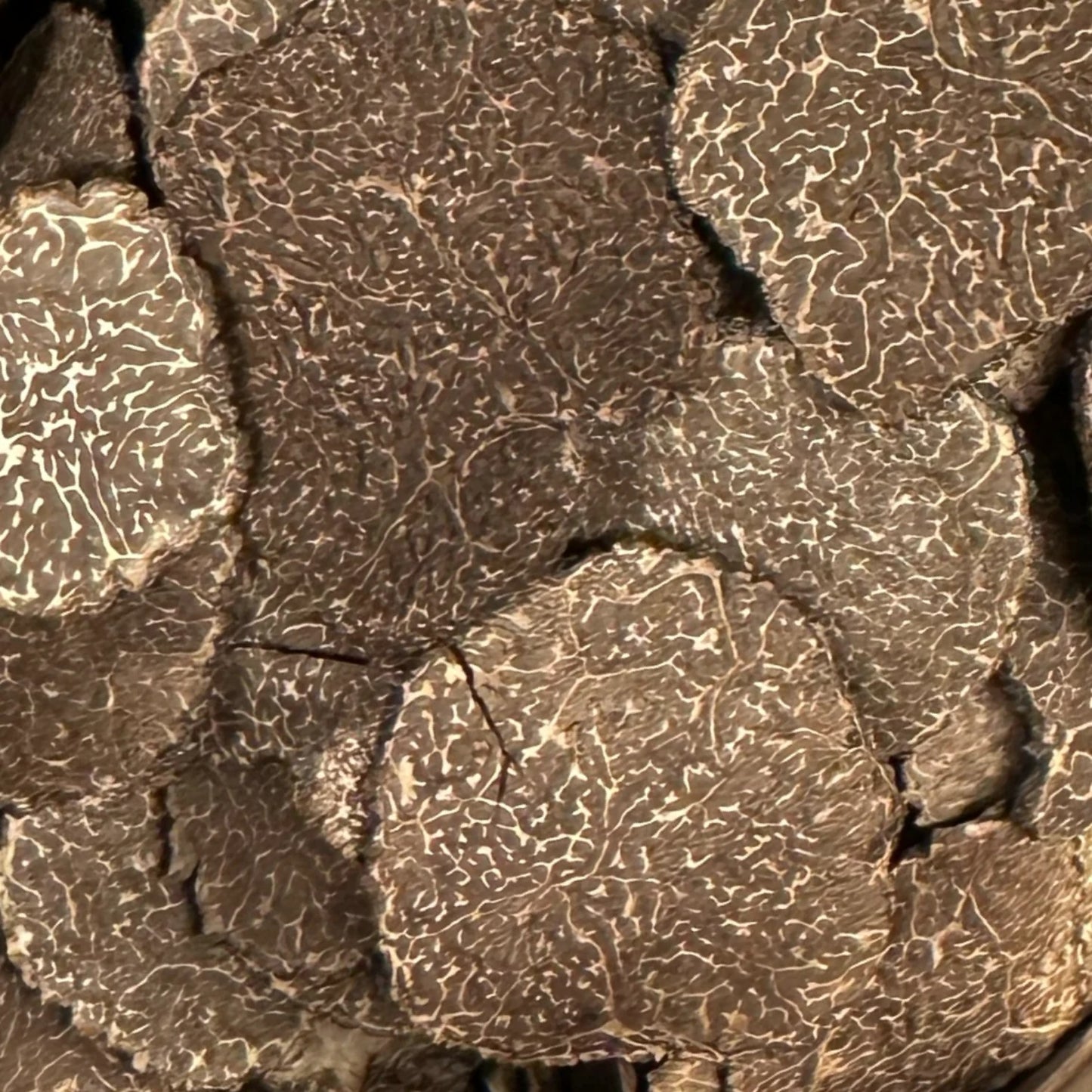 Périgord-Trüffel gefriergetrocknet