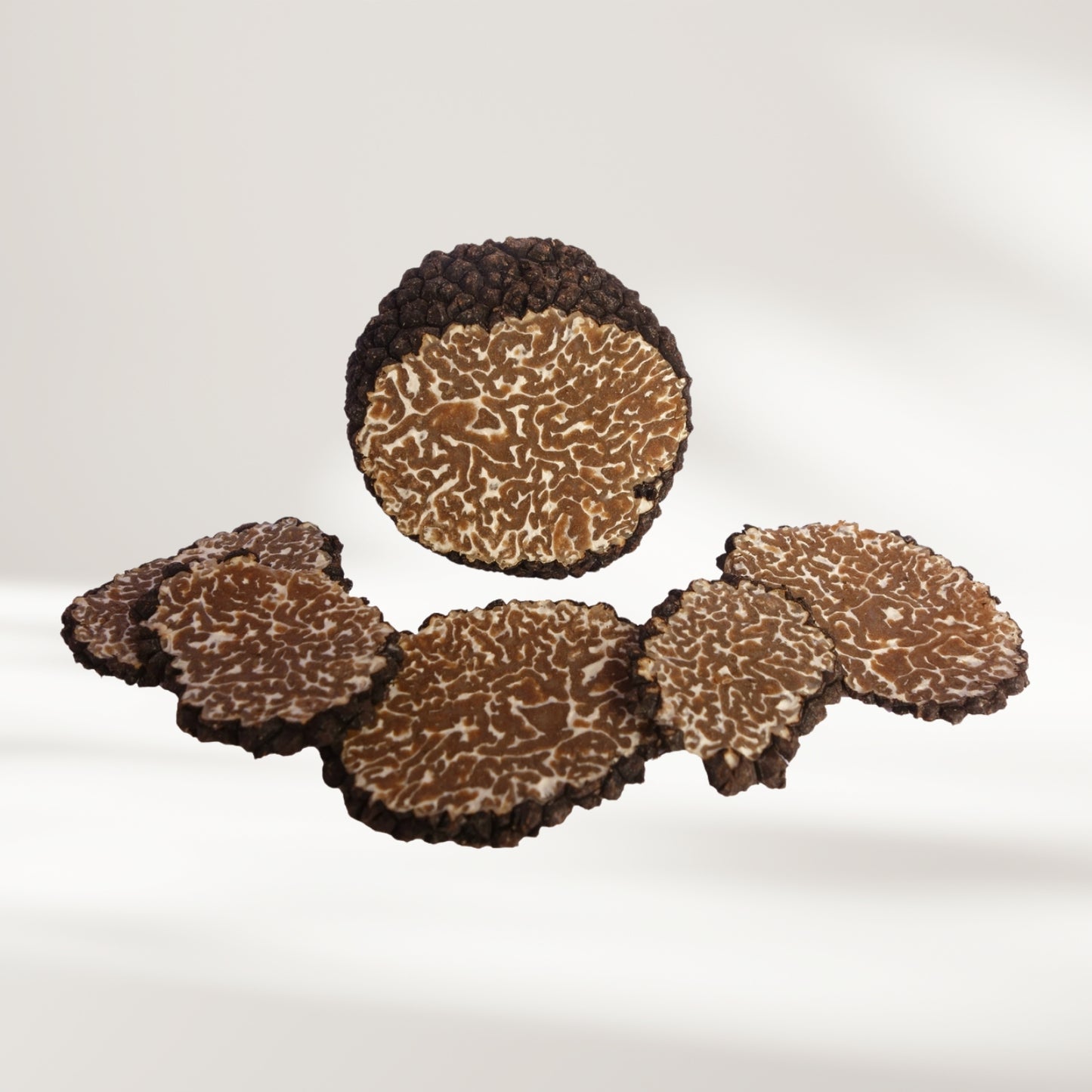 Burgundertrüffel (Tuber aestivum var. uncinatum)