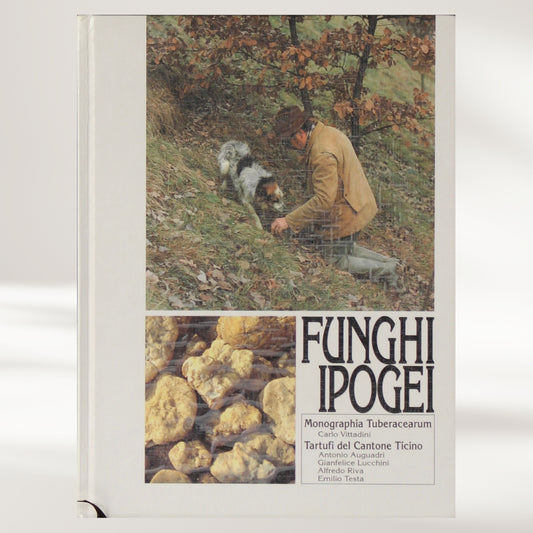 Funghi ipogei
