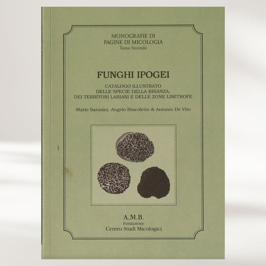 Funghi ipogei