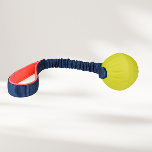 Coachi Tuggi Ball