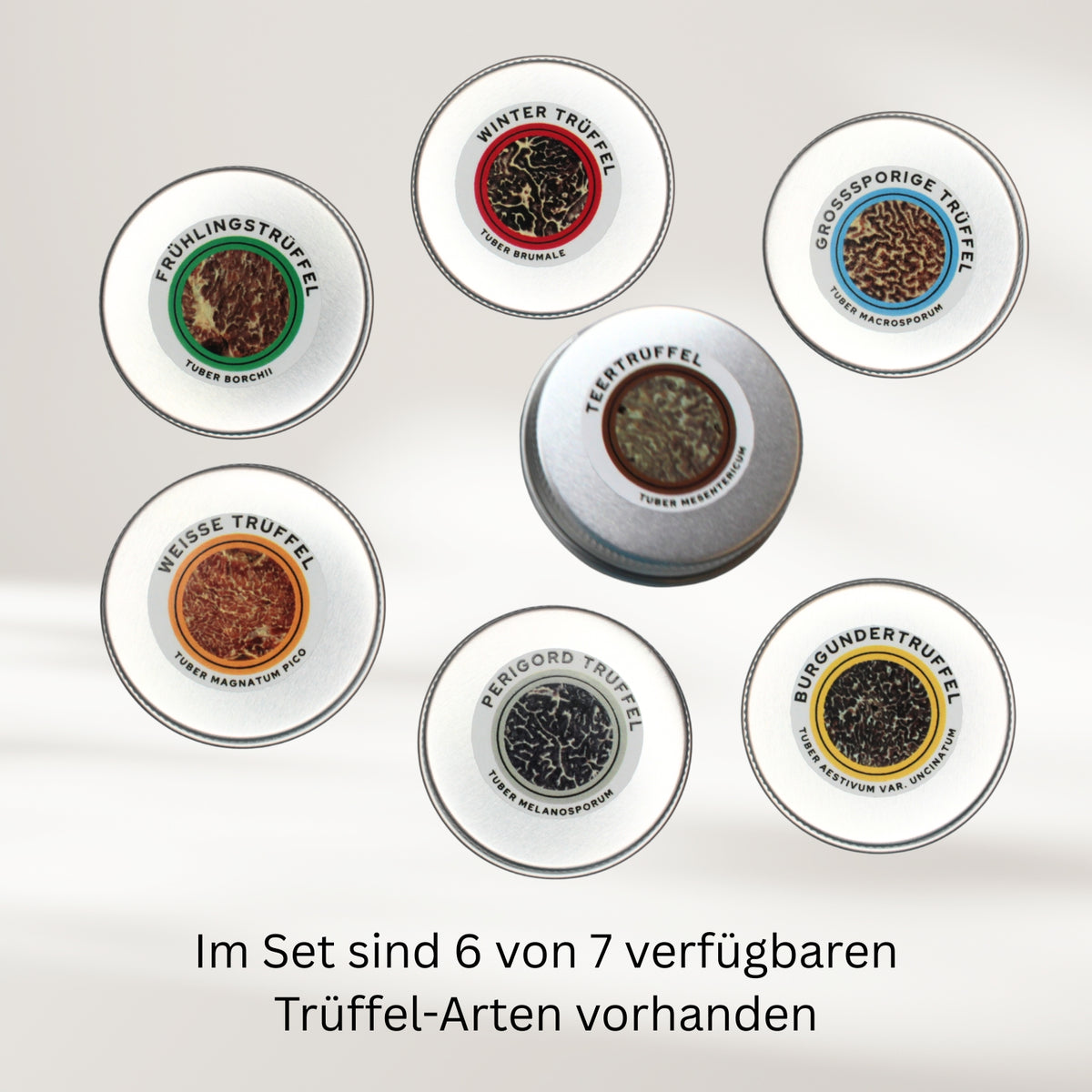 Trainingsset Gerüche Tuber-Arten