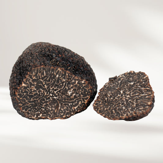 Périgord-Trüffel (Tuber melanosporum)