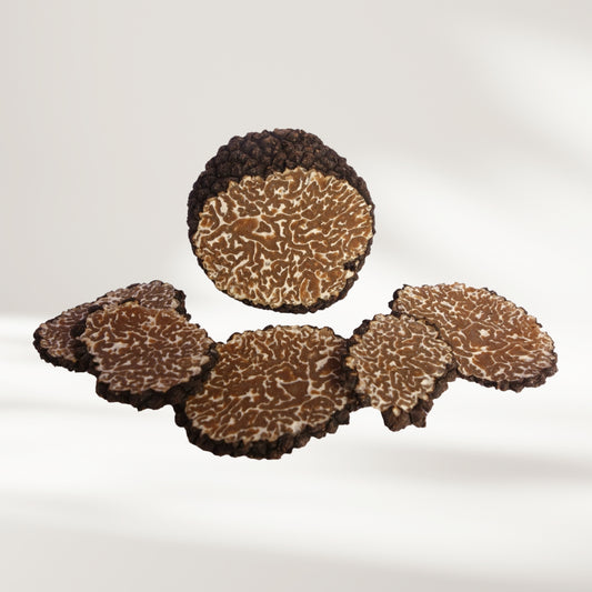 Burgundertrüffel (Tuber aestivum var. uncinatum)