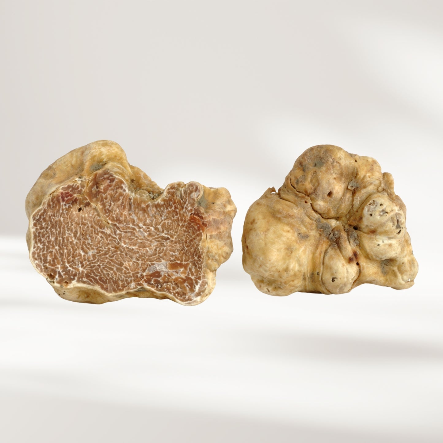 Weisse Trüffel (Tuber magnatum pico)