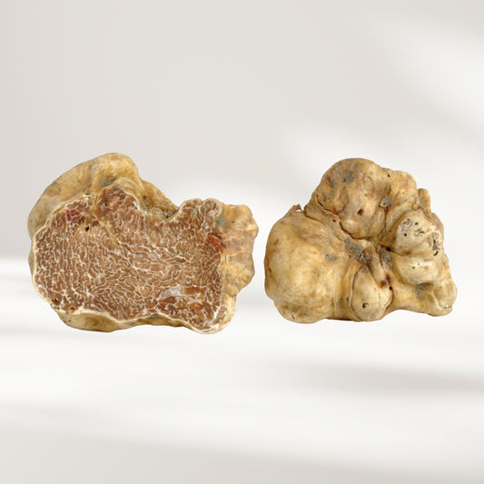 Weisse Trüffel (Tuber magnatum pico)