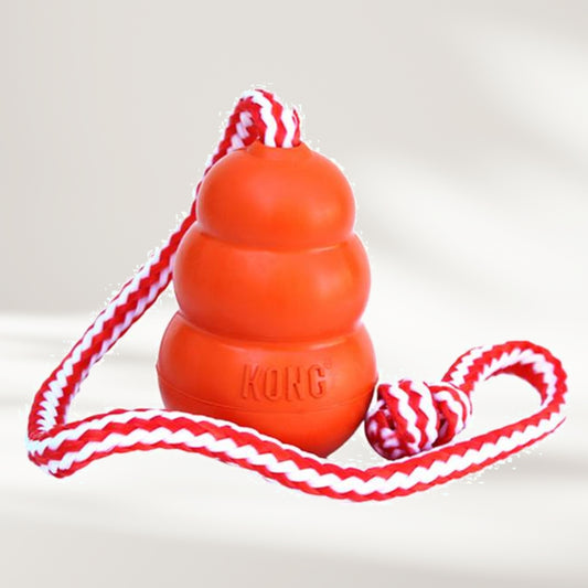 Kong Aqua
